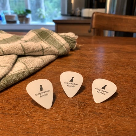 Guitar picks with logo printing